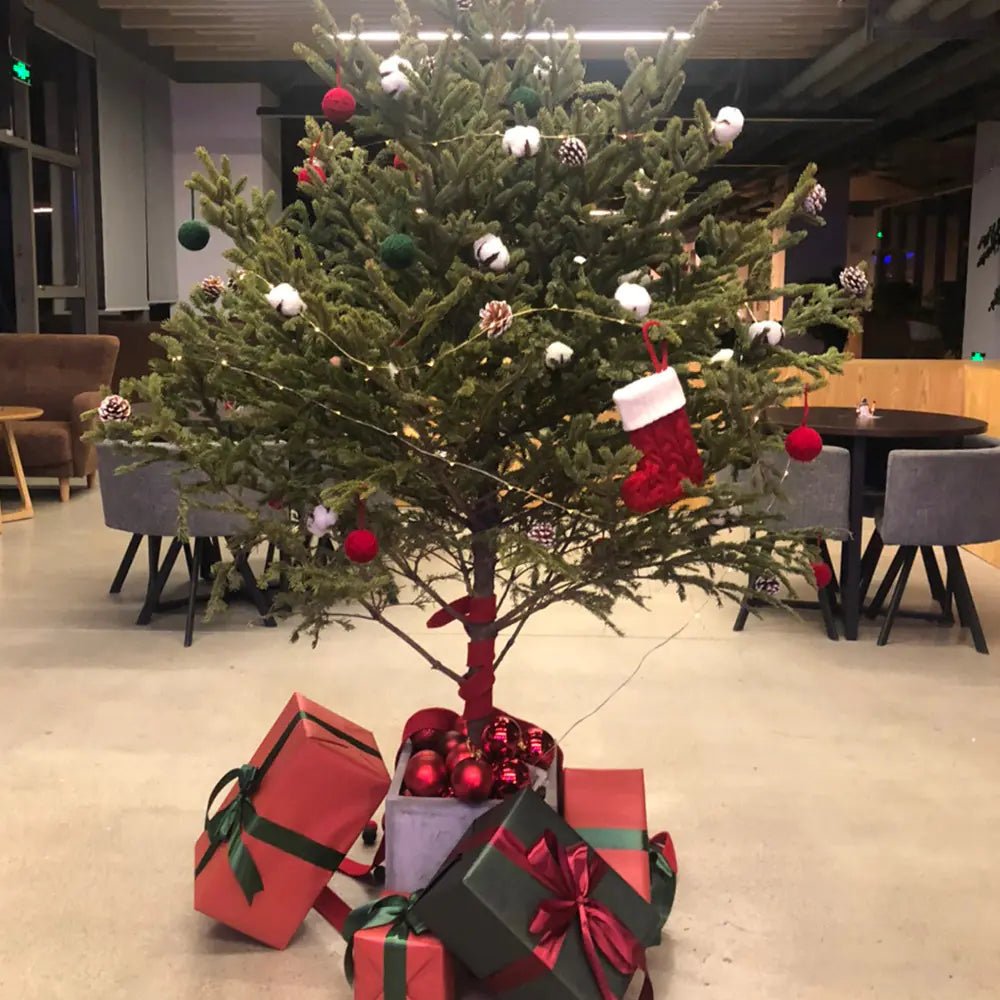 Knitted Christmas Letter Socks - Raggs 2 Riches